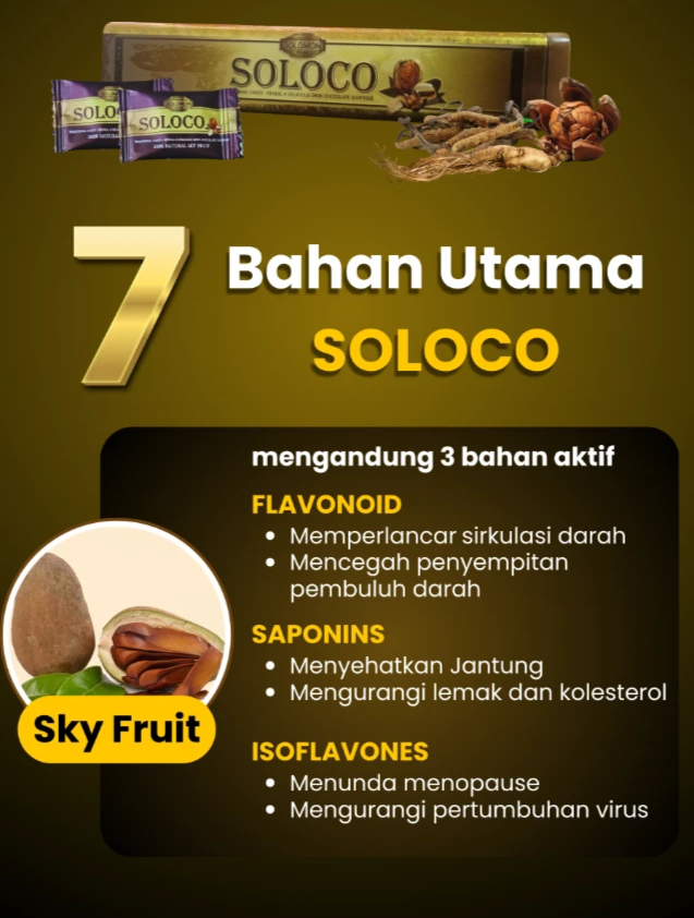 soloco 4